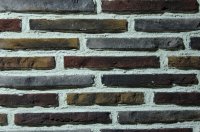 Lange Baksteen Donkere Mix